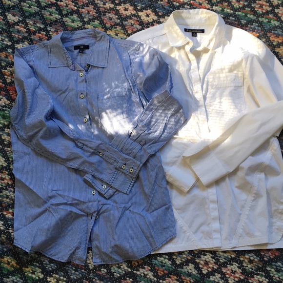 tailored tops for work